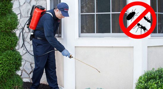 Refahiye Hamam Böceği İlaçlama böcek ilaçlama ve haşere kontrolü — ilaclama-tr.com